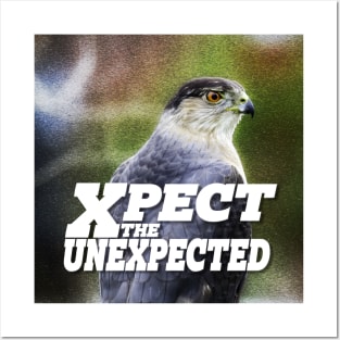 Xpect the Unexpected Hawk Posters and Art